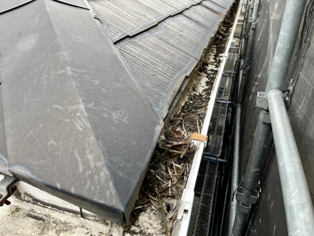 雨樋の詰まり除去・清掃