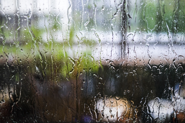 雨の日に水滴が落ちる